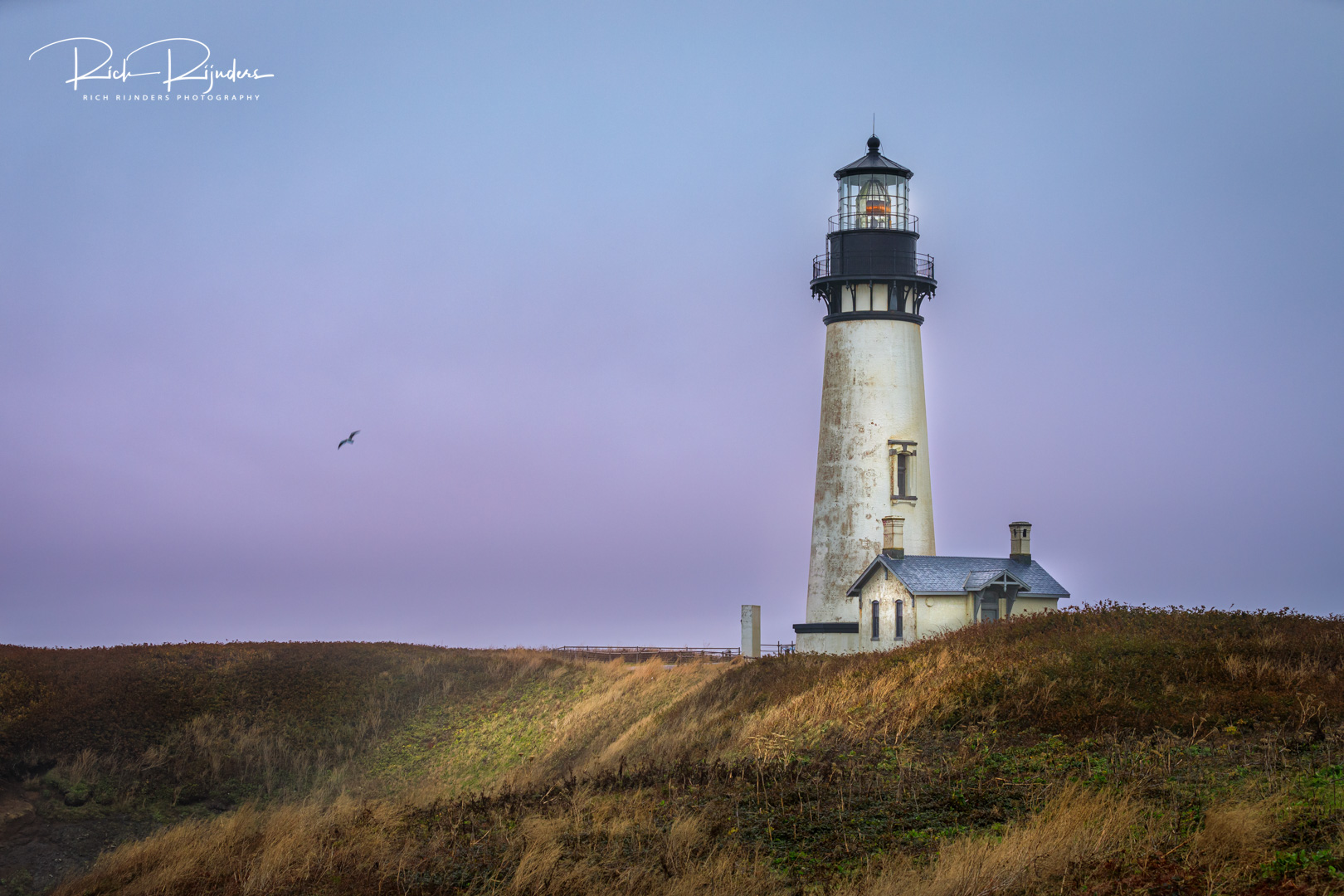 Yaquina Head Lighthouse Blue Hour - Gallery Image